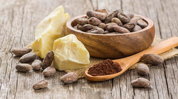Alma Cacao - Ceremonial Cacao Benefits