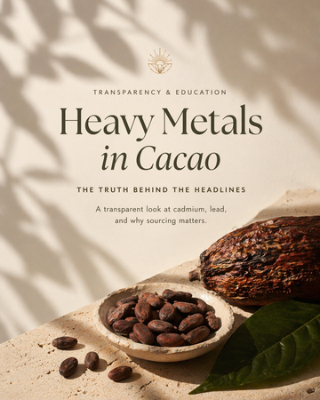 Heavy Metals in Cacao: The Truth Behind the Headlines