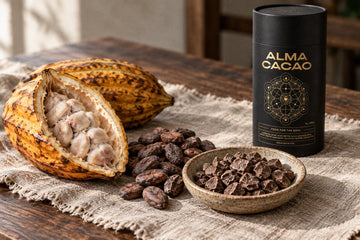 A split cacao pod, dried cacao beans and a dish of whole cacao paste pieces in front of the Alma Cacao canister
