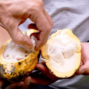 Made with Alma Cacao ceremonial cacao